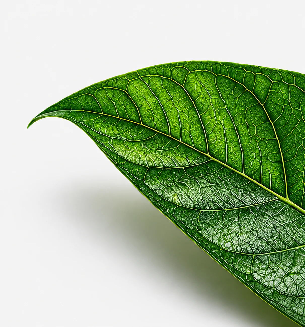 Responsible electronics recycling and sustainability